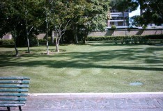 MANUTENZIONE GIARDINI 4